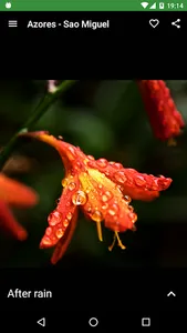 Fripito photo guides screenshot 4