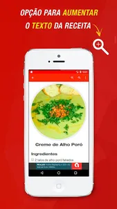 Receitas com Alho Poró screenshot 2