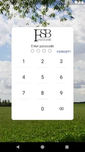 FSB Fountain screenshot 0