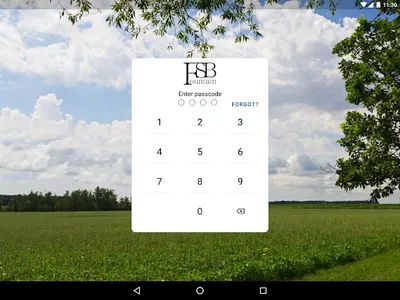 FSB Fountain screenshot 4
