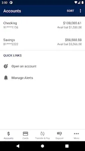 FSB of Hegewisch screenshot 2