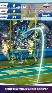 Flick Field Goal 23 screenshot 13