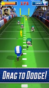 Blocky Touchdown screenshot 1