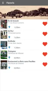Roanne city screenshot 1