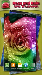 Rose and Rain Live Wallpaper screenshot 1