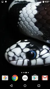 Snakes Live Wallpaper screenshot 13