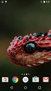 Snakes Live Wallpaper screenshot 22