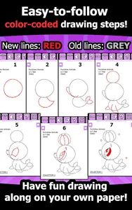 Learn to Draw Easy Animals screenshot 11