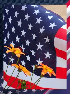 The 4th July Live Wallpaper HD screenshot 11