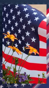 The 4th July Live Wallpaper HD screenshot 4