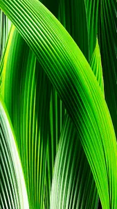 i7 Wallpapers screenshot 0
