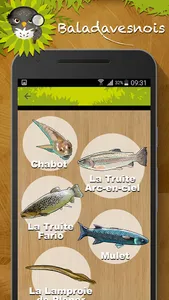Baladavesnois screenshot 3