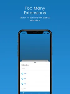 Domain Search screenshot 16