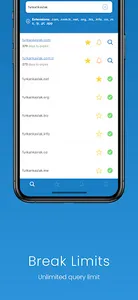 Domain Search screenshot 3