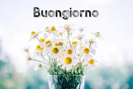 Buongiorno Animata Immagini screenshot 3