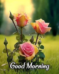 Good Morning Wishes Images screenshot 0