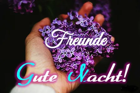 Gute Nacht Bilder 2023 screenshot 3