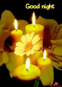 Good Night Images  Quotes 2023 screenshot 5