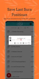 Ajami Full Quran Offline MP3 screenshot 19