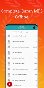 Huzaifi Full Quran Offline MP3 screenshot 0