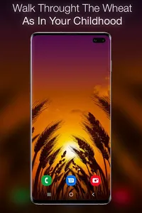 Wheat Field Live Wallpaper screenshot 3