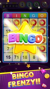 Bingo Frenzy screenshot 0