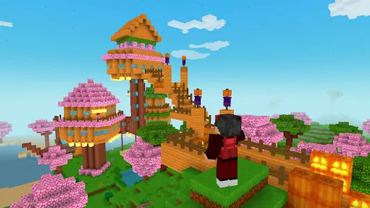 MiniCraft Village screenshot 1