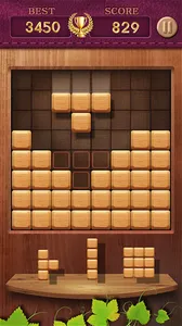 Block Puzzle Wood Toy screenshot 14