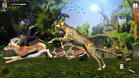 Wild Simulator 3D screenshot 8