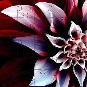 Flowers Jigsaw Puzzles Games screenshot 3