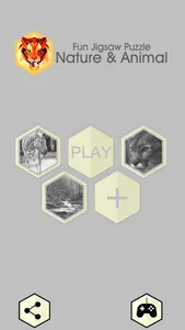 Fun Jigsaw Puzzle screenshot 3
