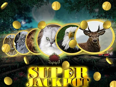 Wild Cat Slot: Real Jackpot &  screenshot 6