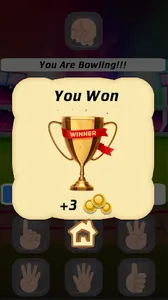 Cricket Multiplayer screenshot 4