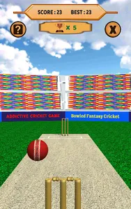 Bowled 3D - Cricket Game screenshot 14