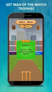 Bowled 3D - Cricket Game screenshot 4