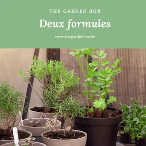 TheGardenBox screenshot 5