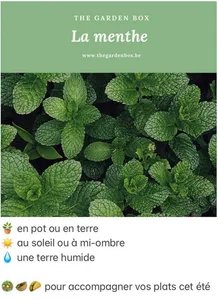 TheGardenBox screenshot 9