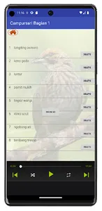 Kompilasi Campursari Mak Nyus screenshot 1
