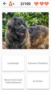 Dog Breeds - Quiz about dogs! screenshot 1