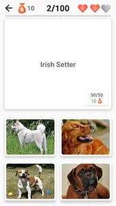 Dog Breeds - Quiz about dogs! screenshot 4