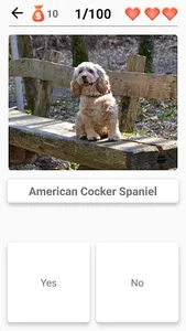 Dog Breeds - Quiz about dogs! screenshot 6