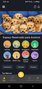 GatoChorro screenshot 0