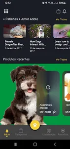 GatoChorro screenshot 6
