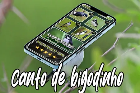 Canto De Bigodinho screenshot 3