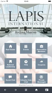 LAPIS INTERNATIONAL screenshot 0
