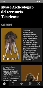 Museo Archeologico Toleriense screenshot 0