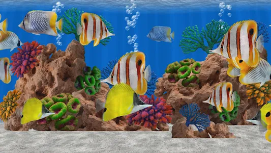 Butterfly Fish Aquarium TV screenshot 10