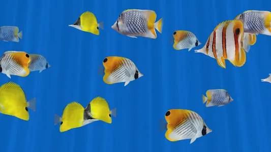 Butterfly Fish Aquarium TV screenshot 5