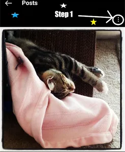 BOTB Media Downloader & Player screenshot 2