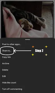 BOTB Media Downloader & Player screenshot 3
